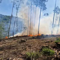 waldbrand.jpg