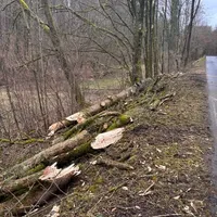 Baum AB12.jpg
